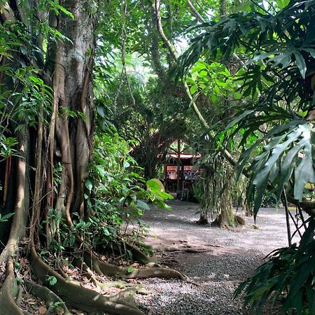 Hotel Brigitte'S Ranch à Cahuita Extérieur photo