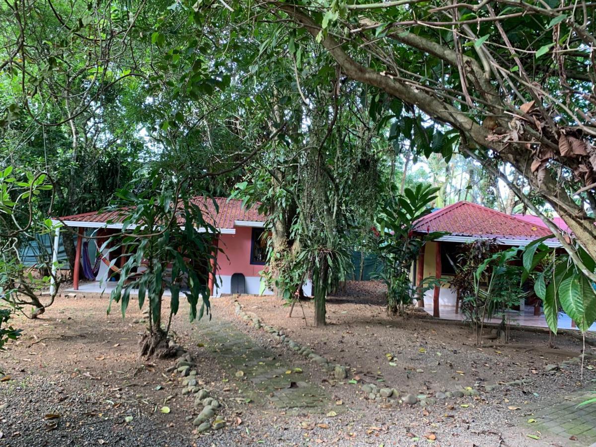 Hotel Brigitte'S Ranch à Cahuita Extérieur photo