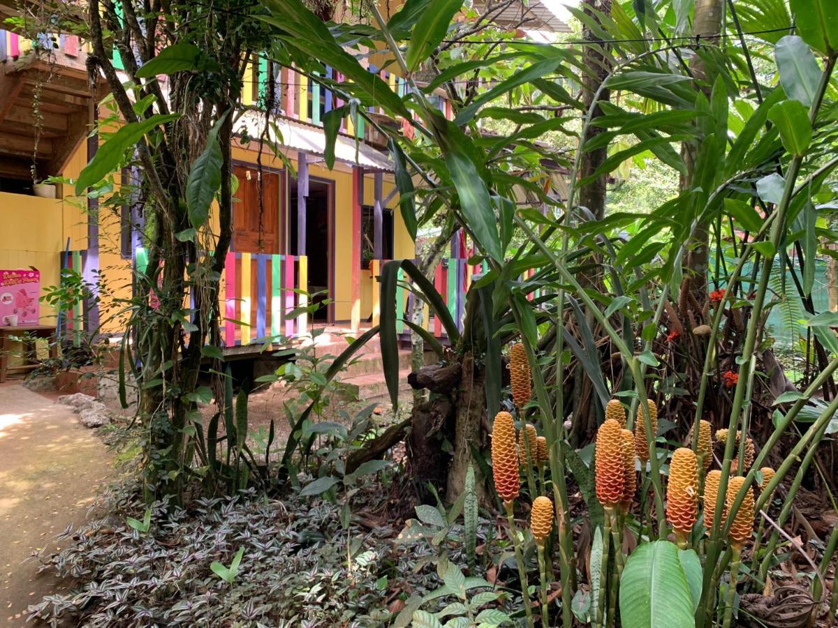 Hotel Brigitte'S Ranch à Cahuita Extérieur photo