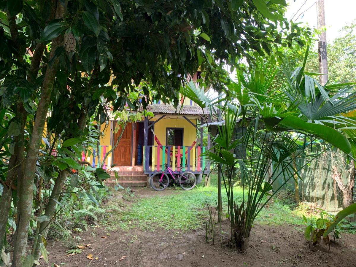 Hotel Brigitte'S Ranch à Cahuita Extérieur photo