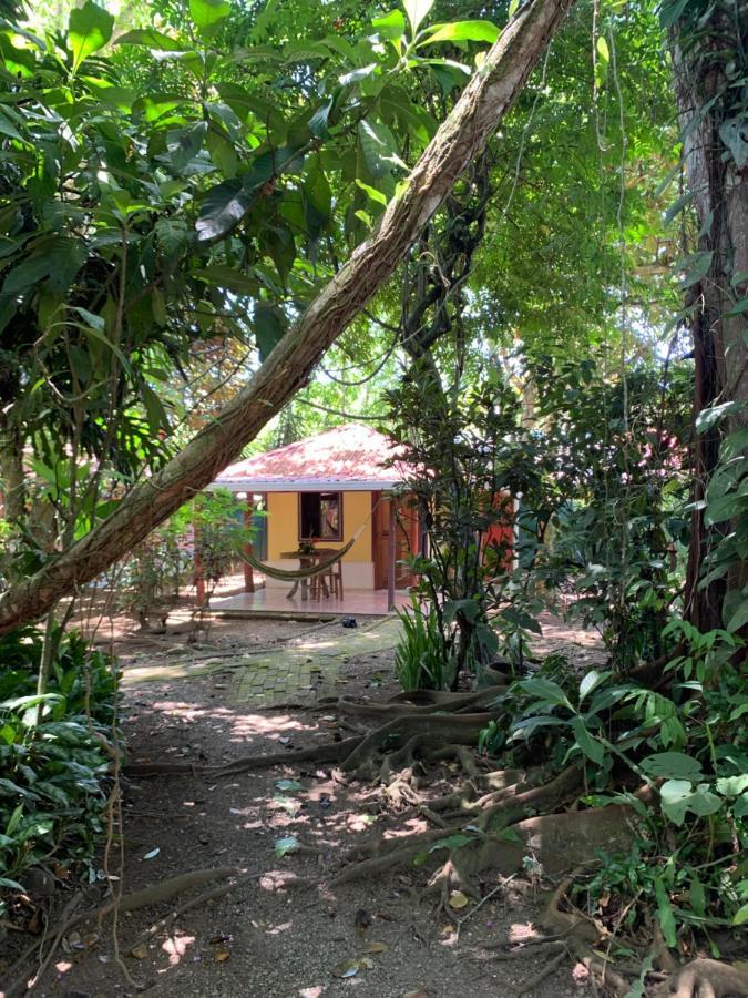 Hotel Brigitte'S Ranch à Cahuita Extérieur photo