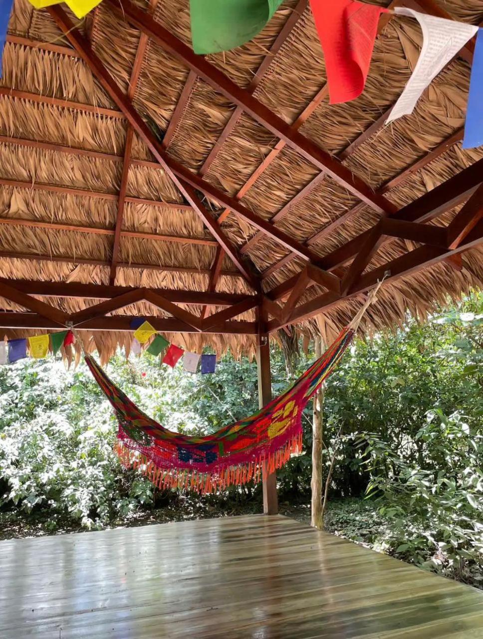 Hotel Brigitte'S Ranch à Cahuita Extérieur photo
