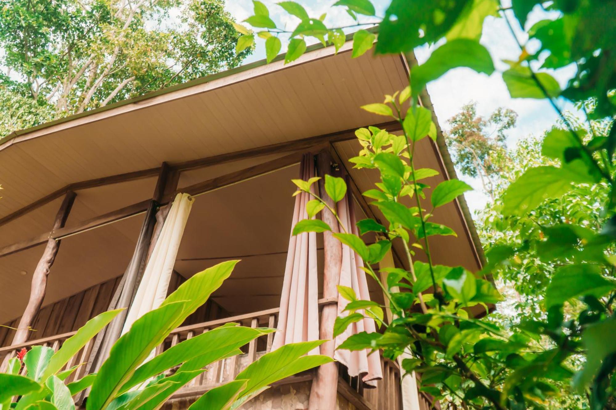 Hotel Brigitte'S Ranch à Cahuita Extérieur photo