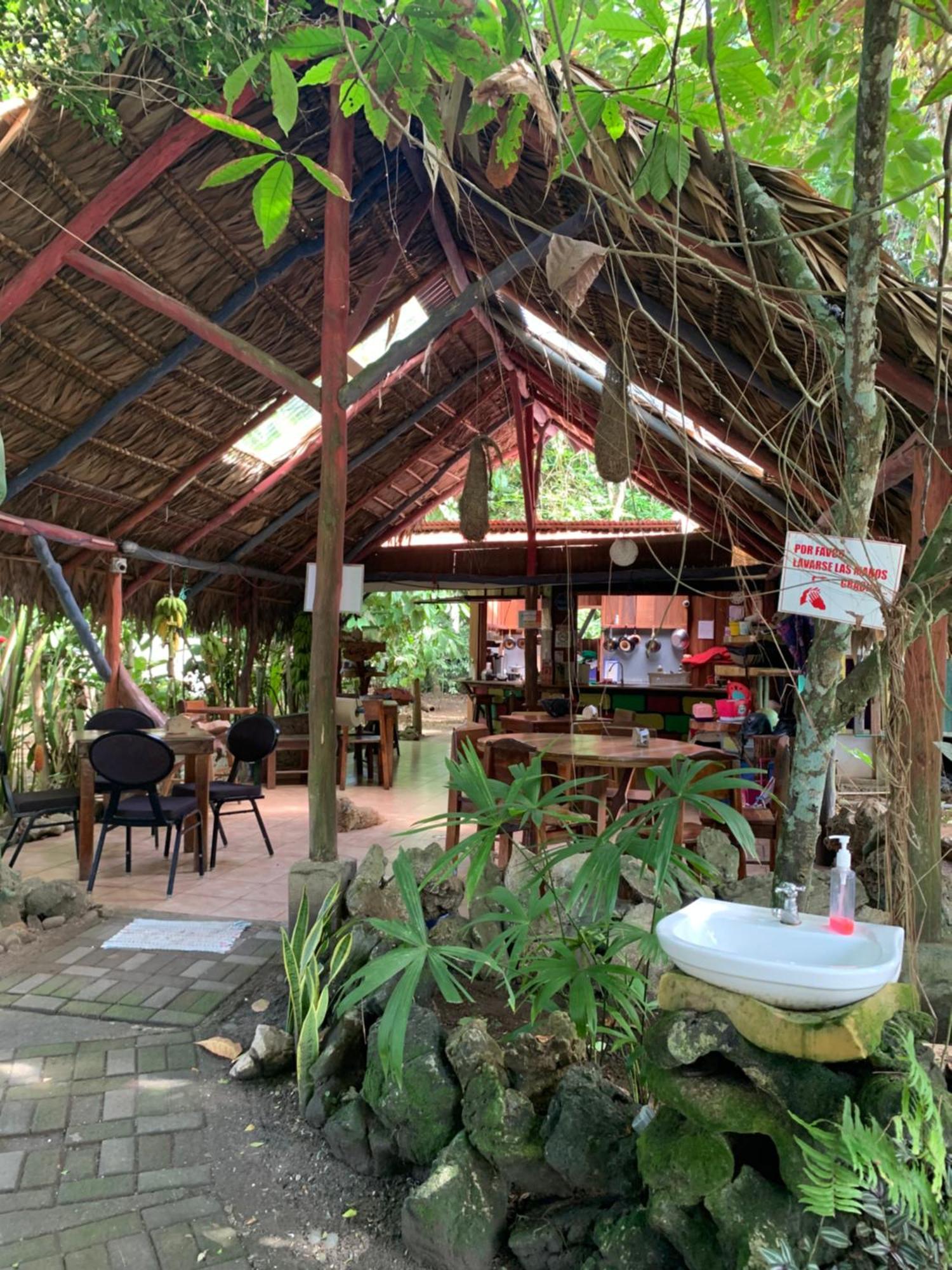 Hotel Brigitte'S Ranch à Cahuita Extérieur photo