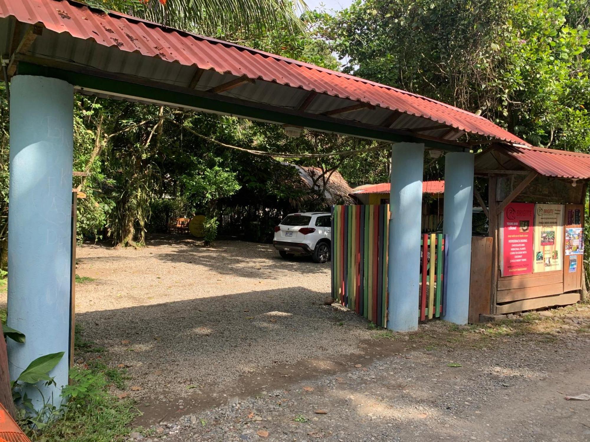 Hotel Brigitte'S Ranch à Cahuita Extérieur photo