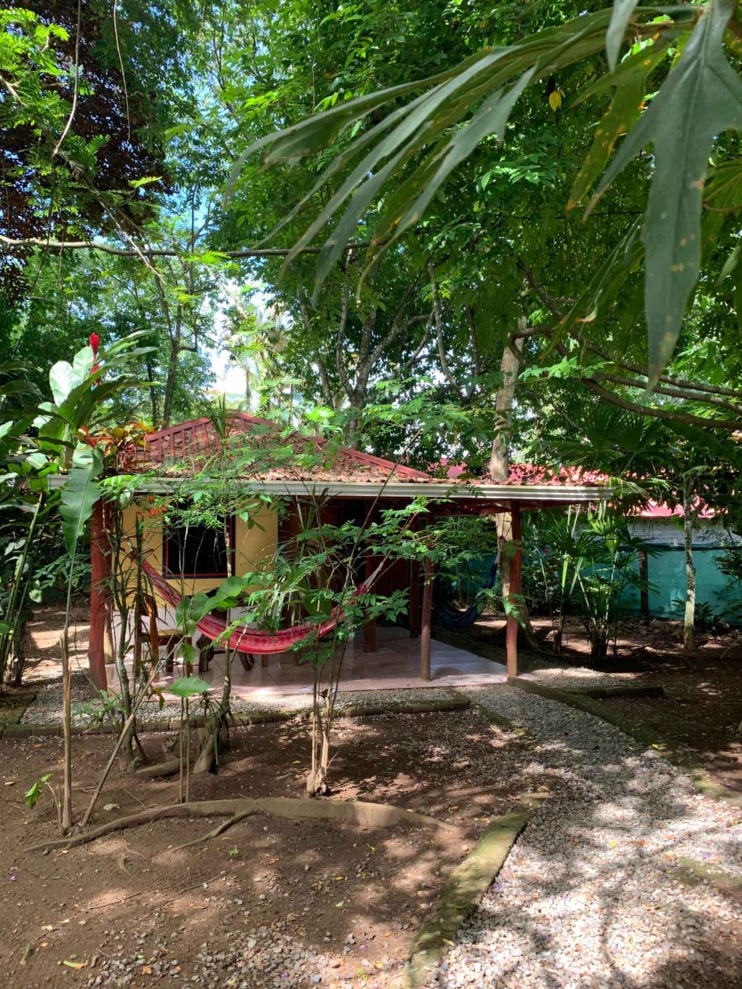 Hotel Brigitte'S Ranch à Cahuita Extérieur photo
