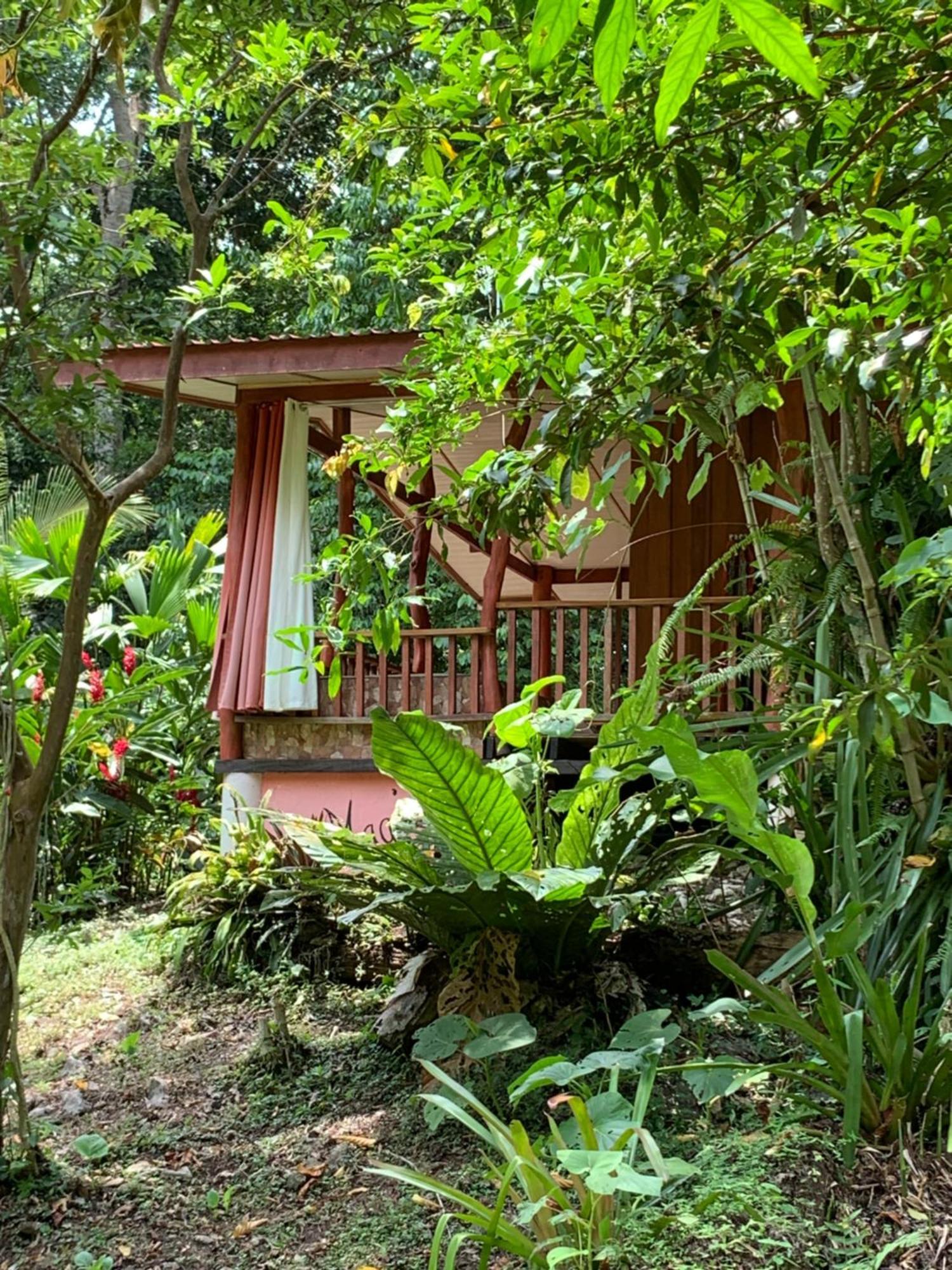 Hotel Brigitte'S Ranch à Cahuita Extérieur photo