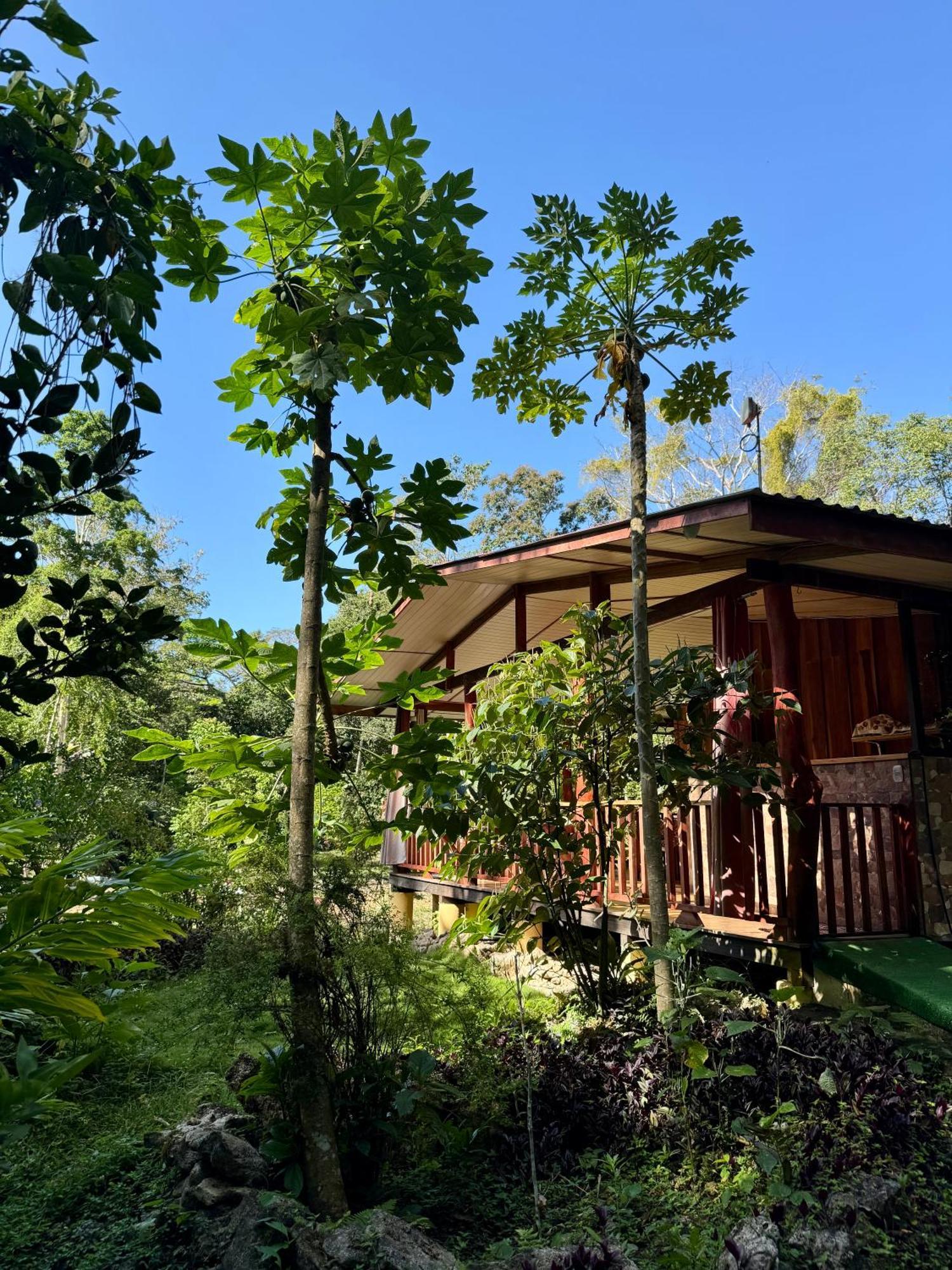 Hotel Brigitte'S Ranch à Cahuita Extérieur photo