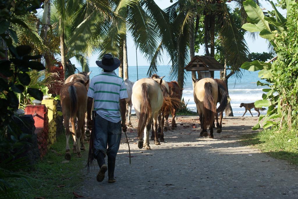 Hotel Brigitte'S Ranch à Cahuita Chambre photo