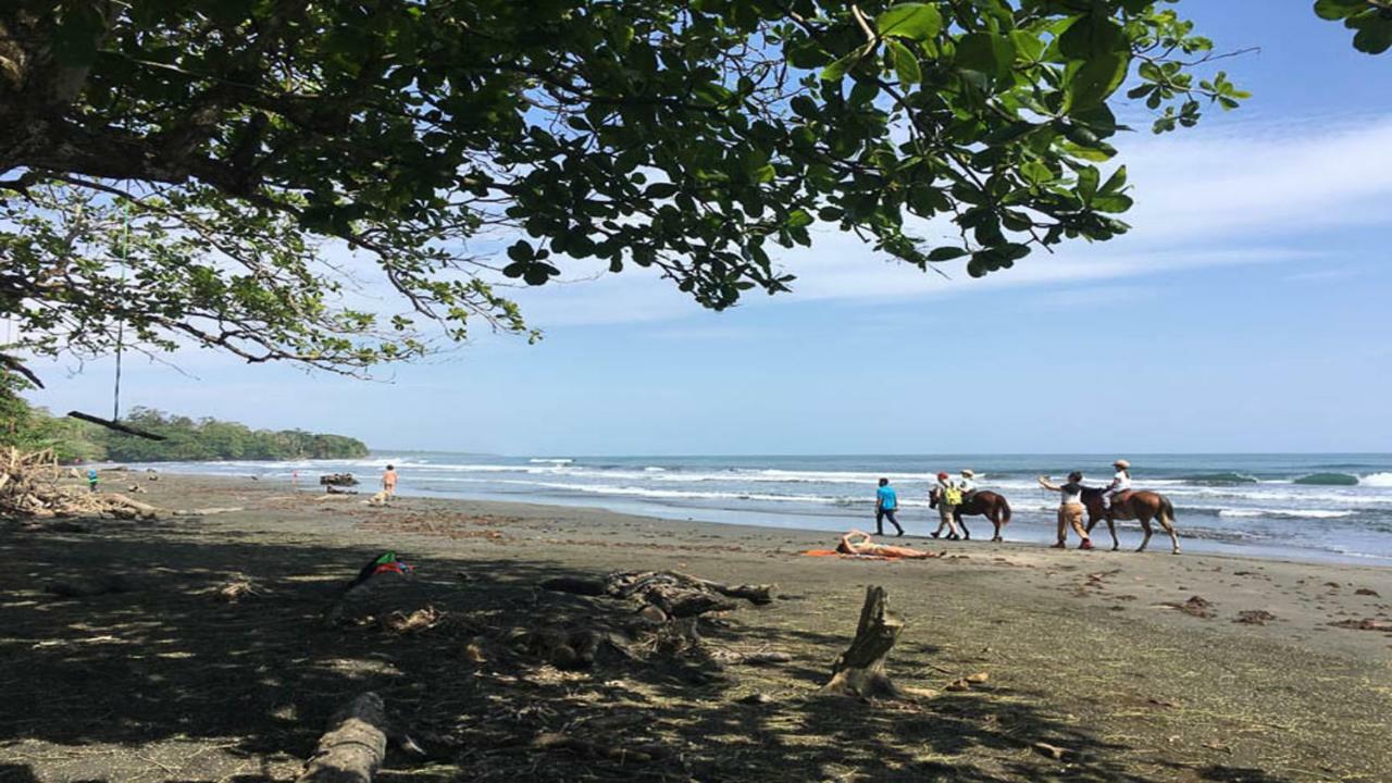 Hotel Brigitte'S Ranch à Cahuita Extérieur photo
